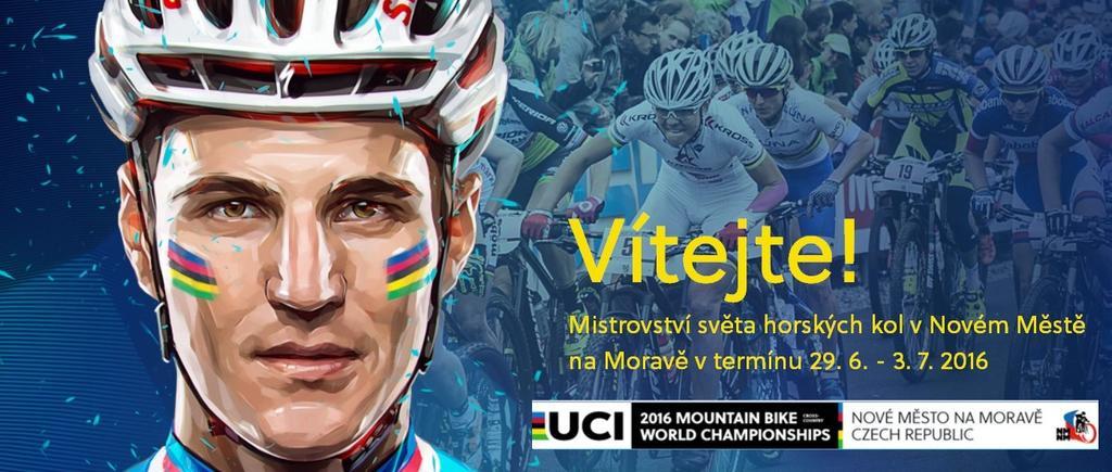 Ubytovani U Kaplicky Нове Место-на-Мораві Екстер'єр фото